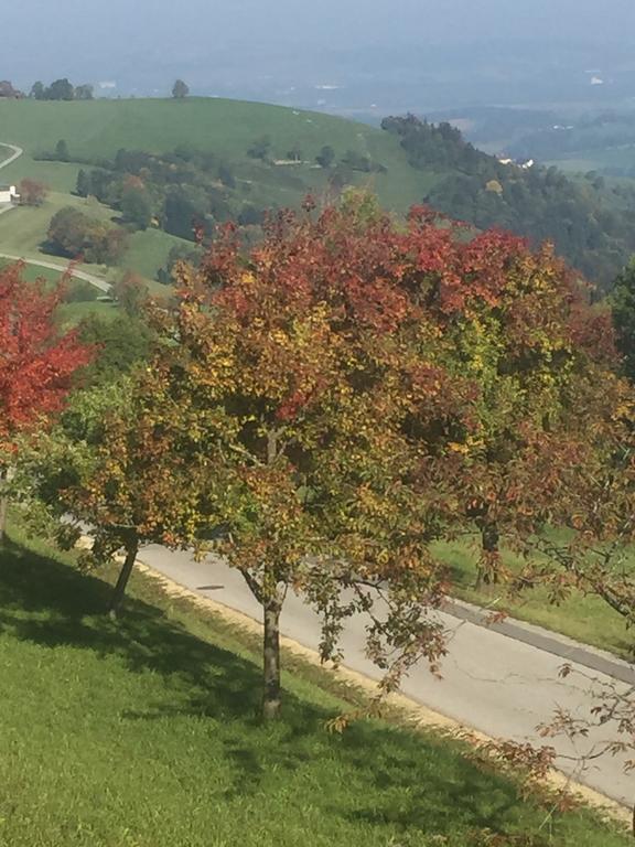 Ferienwohnungen Koessl Waidhofen an der Ybbs Exterior foto