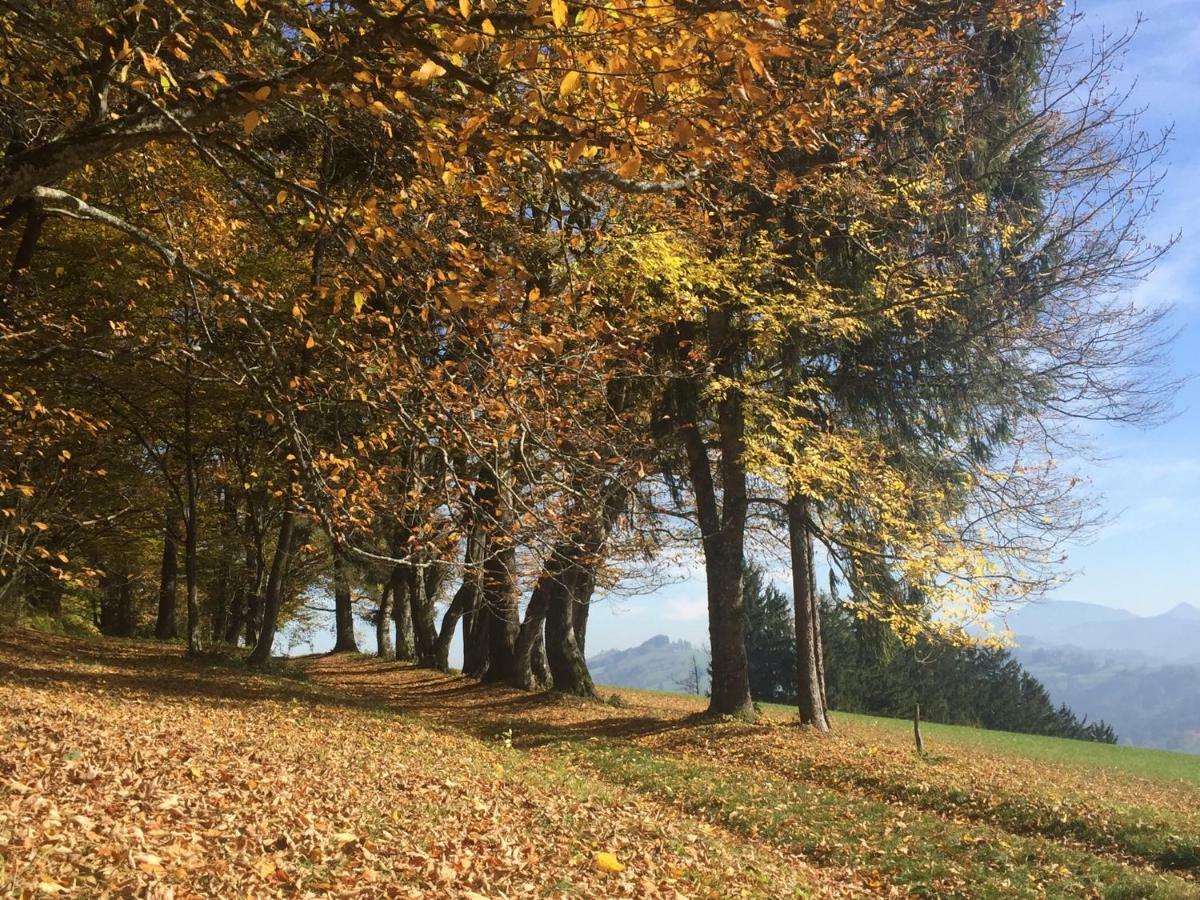 Ferienwohnungen Koessl Waidhofen an der Ybbs Exterior foto