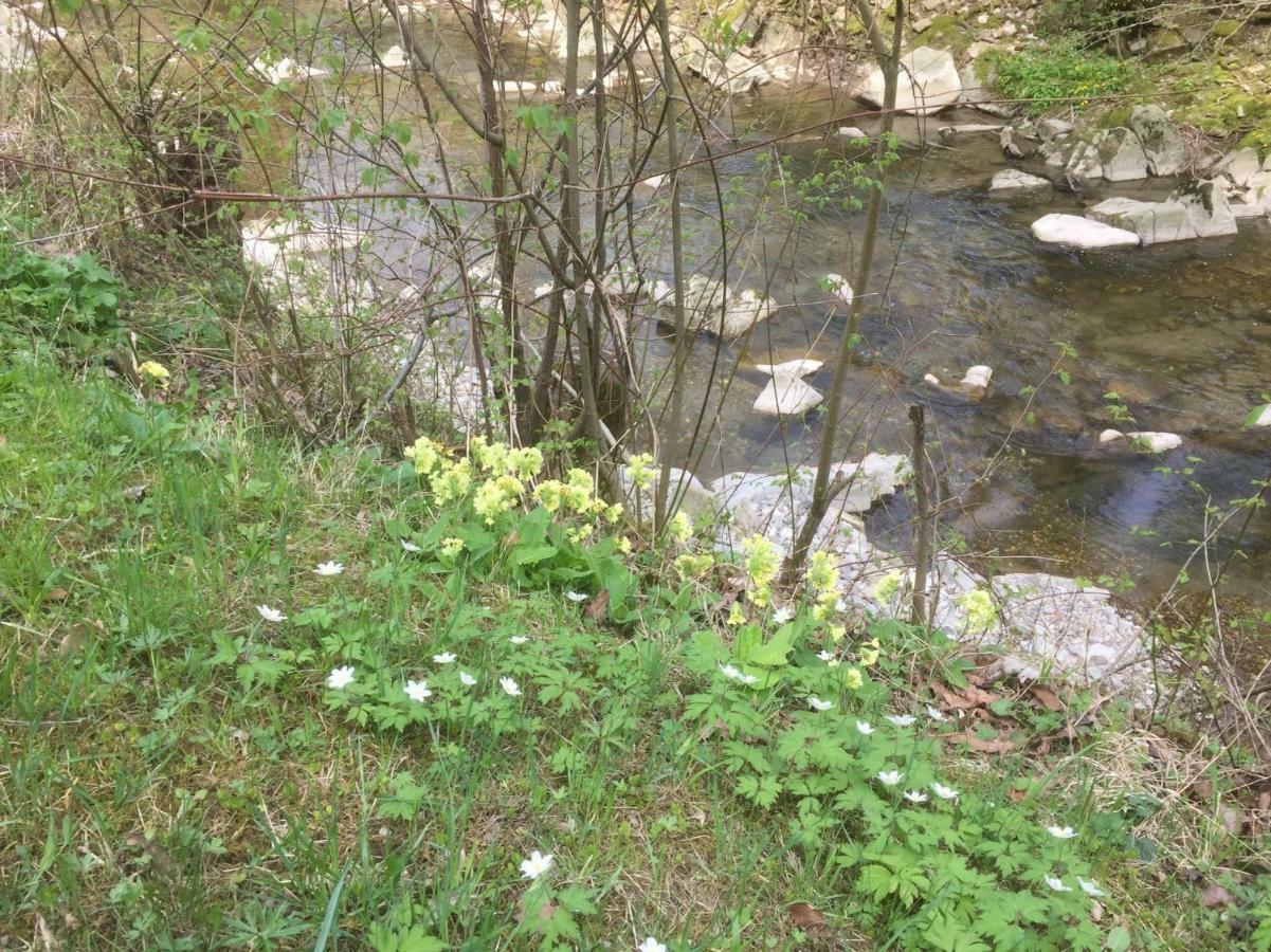 Ferienwohnungen Koessl Waidhofen an der Ybbs Exterior foto