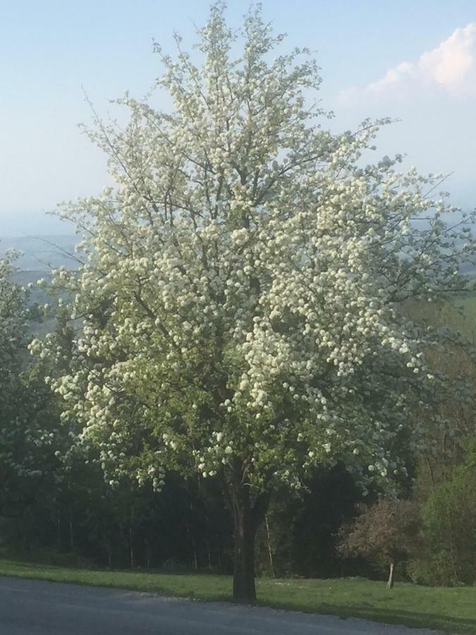 Ferienwohnungen Koessl Waidhofen an der Ybbs Exterior foto