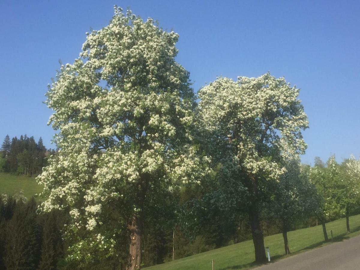 Ferienwohnungen Koessl Waidhofen an der Ybbs Exterior foto
