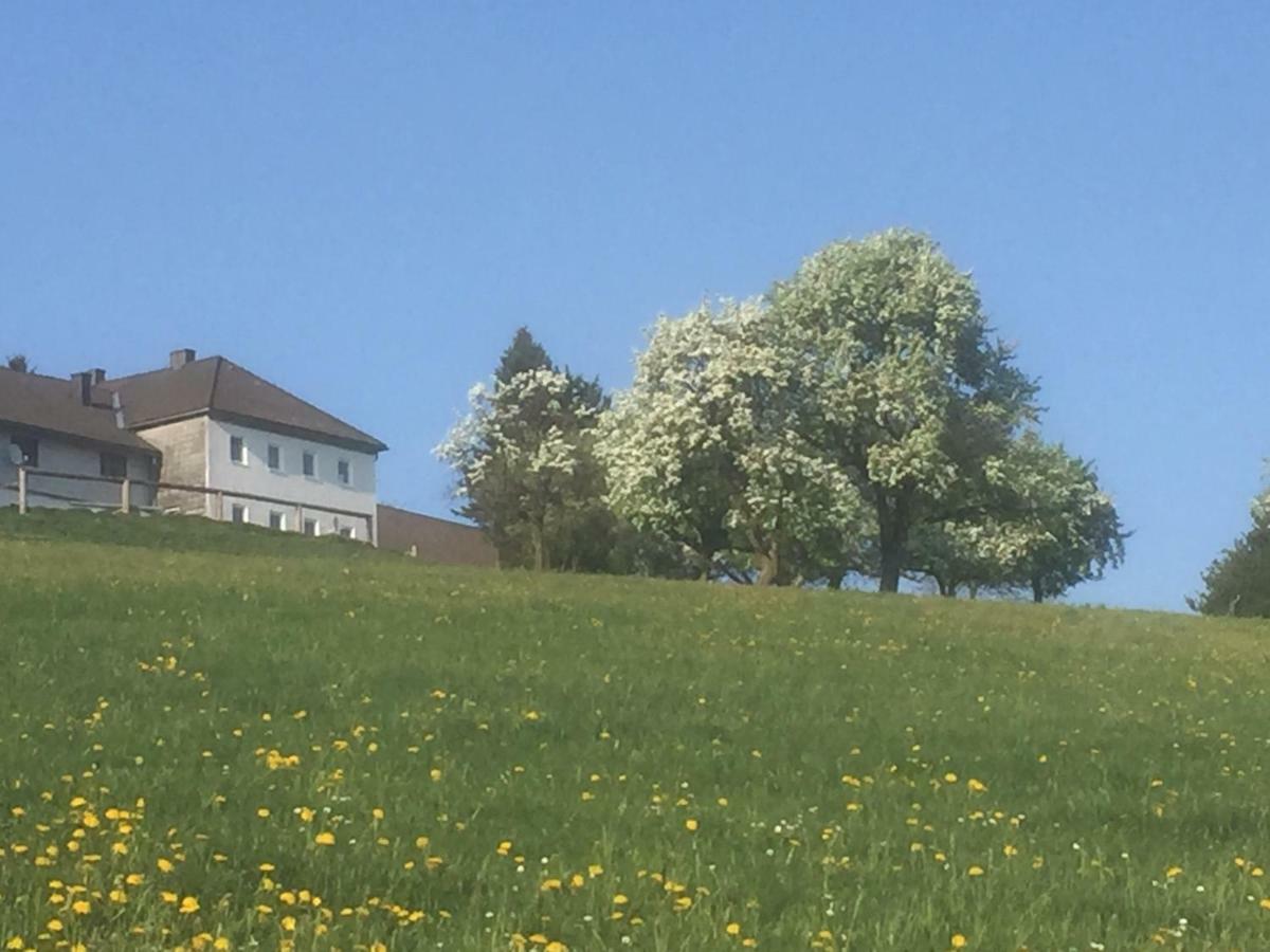 Ferienwohnungen Koessl Waidhofen an der Ybbs Exterior foto