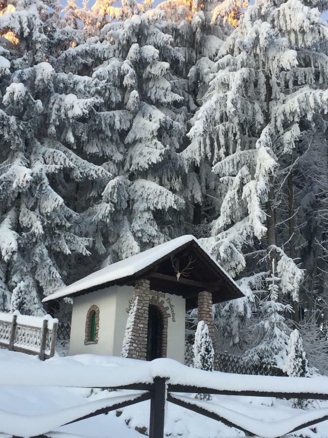 Ferienwohnungen Koessl Waidhofen an der Ybbs Exterior foto