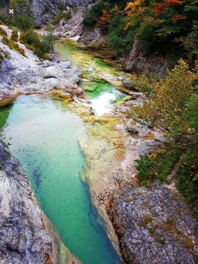 Ferienwohnungen Koessl Waidhofen an der Ybbs Exterior foto